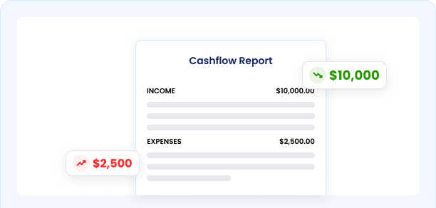 Cash Flow Report preview